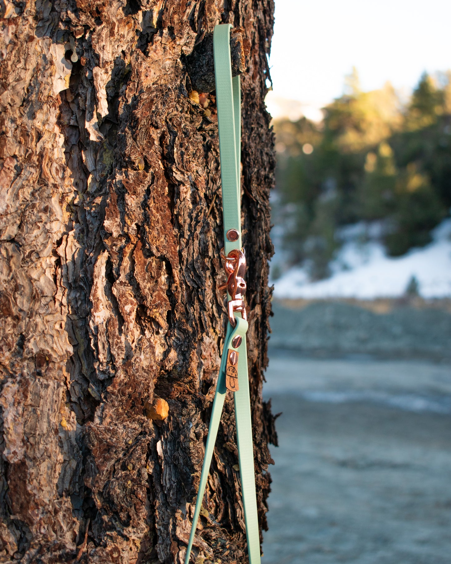 Lil Explorer Leash