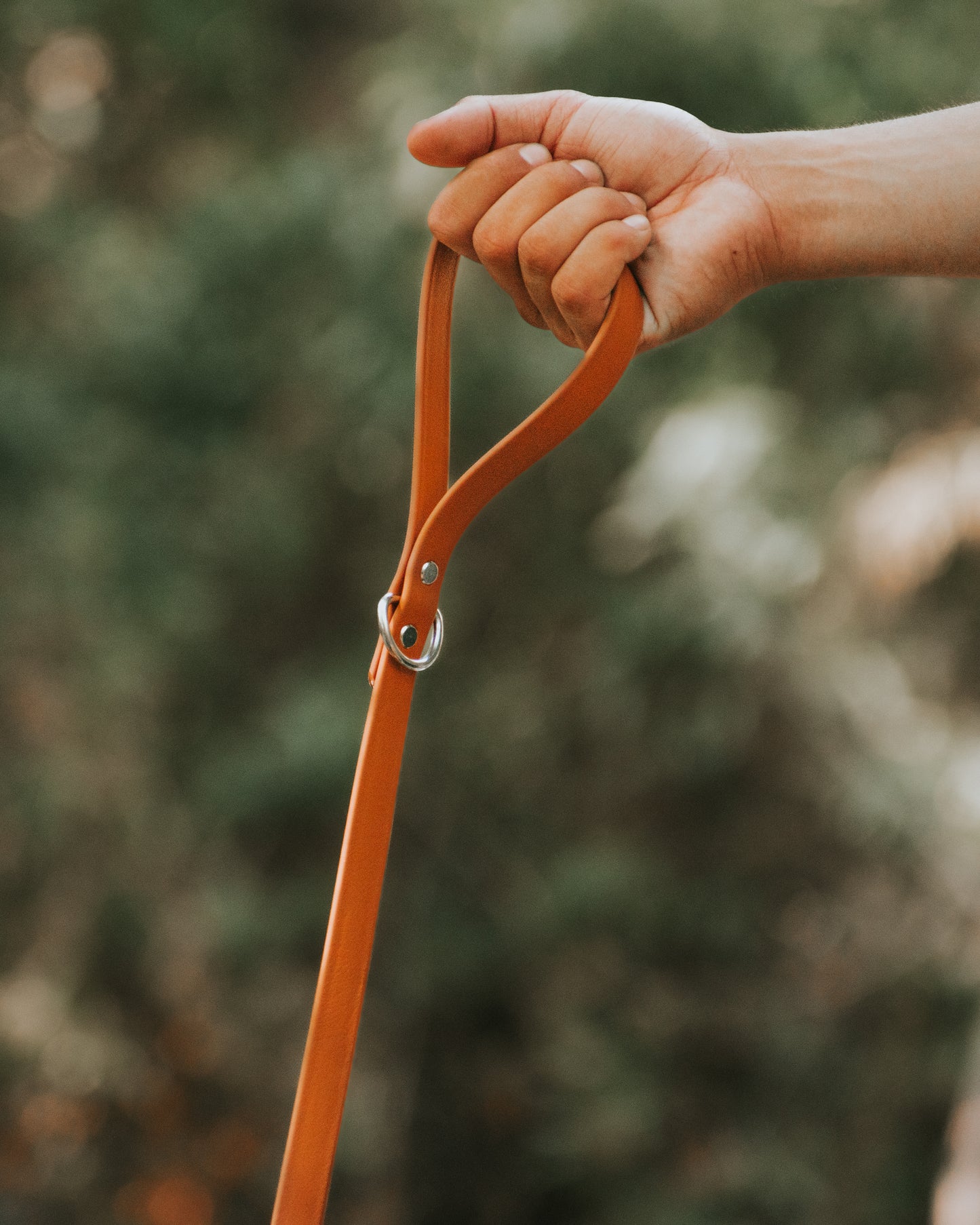 Explorer Leash