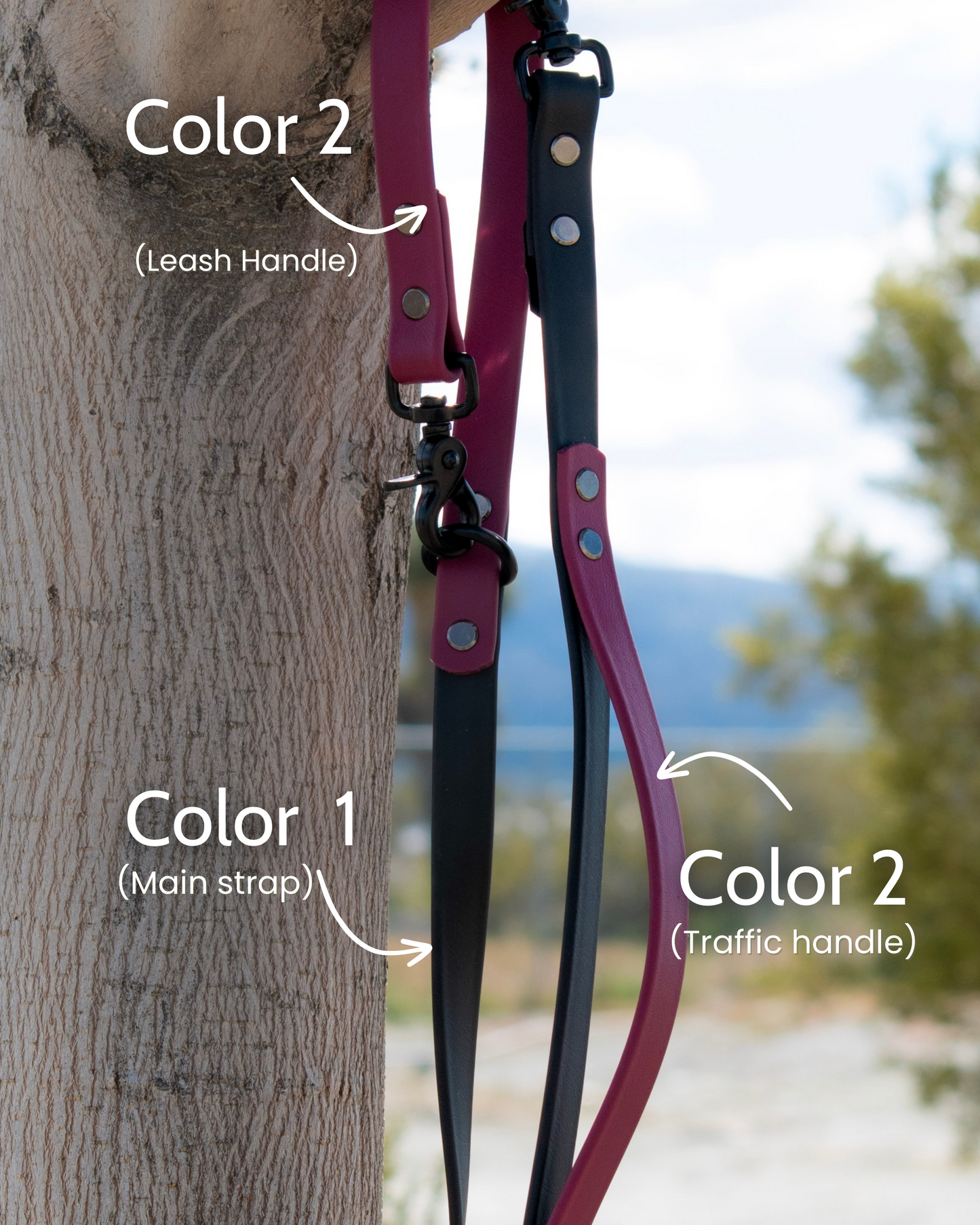 Element Leash